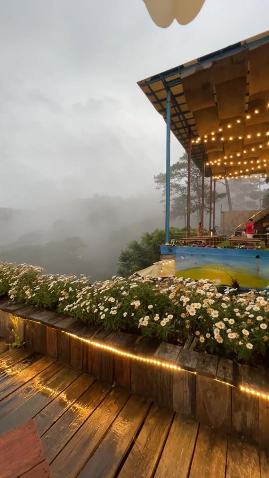 [☕️🇻🇳] Horizon Coffee – Đà Lạt 🥤 Top1Coffee ☕️ Coffe ngày mưa. , shares-0✔️ , likes-5❤️️ , date-2025-03-10 00:31:42🇻🇳🇻🇳🇻🇳📰🆕