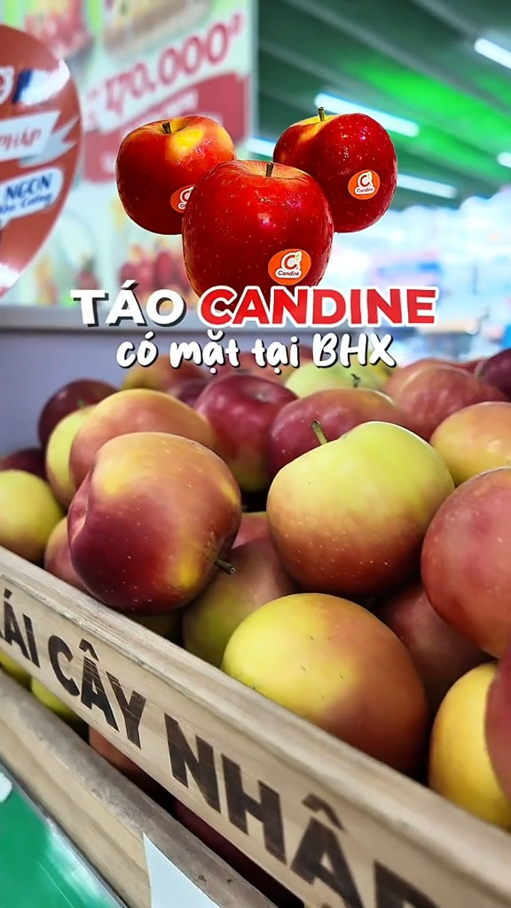 [🆕🇻🇳] Thảo Cầm Viên – Sài gòn Zoo & Botanical Gardens ♥️️ Top1Checkin ☑  MiKa và fan hâm mộ của ẻm , shares-0✔️ , likes-13K❤️️ , date-2025-03-15 16:02:38🇻🇳🇻🇳🇻🇳📰🆕