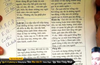 [🆕🇻🇳] Mclass – Lớp Học Livestream 📚 Top1Learn 📕  , shares-3✔️ , likes-2❤️️ , date-2025-03-12 04:05:56🇻🇳🇻🇳🇻🇳📰🆕