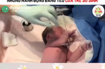 [🆕🇻🇳] BÉ BÉ by Jang Store – Cửa hàng quần áo sơ sinh & trẻ em 🧑‍🧒❤️️👶⭐️ Những hành động đáng yêu của trẻ sơ sinh
#giaitri #haihuoc #funny
Nguồn: Ếch Xanh Xinh Xắn , shares-0✔️ , likes-0❤️️ , date-2025-03-09 04:00:49🇻🇳🇻🇳🇻🇳📰🆕