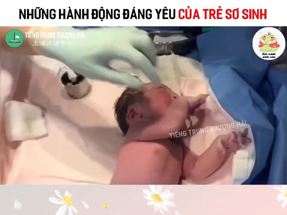 [🆕🇻🇳] BÉ BÉ by Jang Store – Cửa hàng quần áo sơ sinh & trẻ em 🧑‍🧒❤️️👶⭐️ Những hành động đáng yêu của trẻ sơ sinh
#giaitri #haihuoc #funny
Nguồn: Ếch Xanh Xinh Xắn , shares-0✔️ , likes-0❤️️ , date-2025-03-09 04:00:49🇻🇳🇻🇳🇻🇳📰🆕