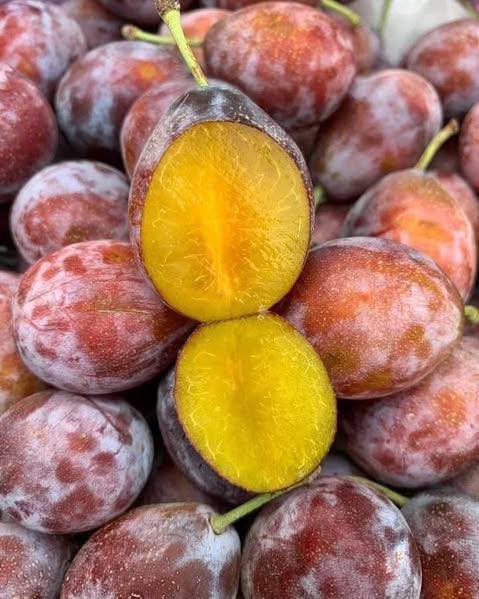 [🆕🇻🇳] Lefarms – Cửa hàng tiện lợi 🍔 Top1Food  🍜 ‍ RAU CỦ QUẢ SẤY KHÔ CHUẨN ĐÀ LẠTMỗi khi nhắc đến Đà Lạt, người ta không thể không nghĩ đến những món đặc sản nổi tiếng, trong đó phải kể đến kh , shares-0✔️ , likes-1❤️️ , date-2025-03-13 01:34:44🇻🇳🇻🇳🇻🇳📰🆕