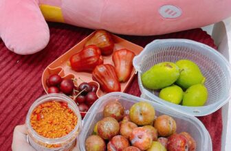 [🆕🇻🇳] Muối Ớt Siêu Ngon 🍔 Top1Food 🍜 Trái cây vô mùa rồi mấy chị iu trữ Muối Ớt Siêu Ngon đúng bài rùi hihi
số em mấy c mua gọi cho lẹ 0362172532
, shares-0✔️ , likes-0❤️️ , date-2025-03-15 16:53:34🇻🇳🇻🇳🇻🇳📰🆕