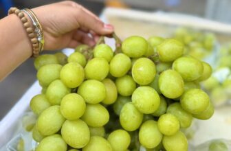 [🆕🇻🇳] Trái Cây Nhập Khẩu Tuy Hoà-Phú An Food 🍔 Top1Food  🍜 Hôm nayyy lại lên siêu phẩm cho mọi người nhaaa
Nho xanh peru giòn ngọt 150k/kg giá siêu hạ nhiệt
Dâu hana mộc châu to 85k/hộp thuiiiiPHÚ AN FOOD (Trái  , shares-0✔️ , likes-2❤️️ , date-2025-03-10 16:46:07🇻🇳🇻🇳🇻🇳📰🆕