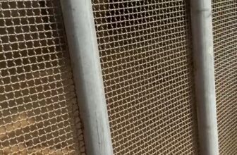 [🆕🇻🇳] Thảo Cầm Viên – Sài gòn Zoo & Botanical Gardens ♥️️ Top1Checkin ☑  Thái Anh đến rồi đây!!  , shares-0✔️ , likes-619❤️️ , date-2025-03-08 16:26:31🇻🇳🇻🇳🇻🇳📰🆕