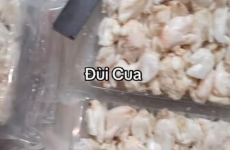 [🆕🇻🇳] ANH THƯ FOOD – Thịt Càng Cua / Thịt Ghẹ -Tôm Tích 🍔 Top1Food  🍜 .         Đùi Cua –  Hàng Tươi Mỗi Ngày
.              Làm Từ Cua Tươi Nguyên Chất
Hàng thị trường hiện tại em Thư thấy họ pha đùi ghẹ nhàn khá nhiều t , shares-0✔️ , likes-0❤️️ , date-2025-03-12 18:38:53🇻🇳🇻🇳🇻🇳📰🆕