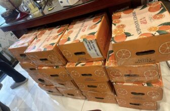 [🆕🇻🇳] Thời Trang Trẻ Em 0 – 6 tuổi Mialy Kids 🧑‍🧒❤️️👶⭐️ Duy nhất 15 thùng Cam mật Ong – hàng hoàn về của 2000 đơn lẻ do khách bận , em xả cả nhà mình 69k/ thùng 5kg nhé. Giá gốc 220k/ thùng.
Bán cho Vui tương tá , shares-0✔️ , likes-18❤️️ , date-2025-03-12 14:52:50🇻🇳🇻🇳🇻🇳📰🆕