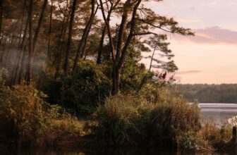 [🆕🇻🇳] LUXE Wedding – Dịch Vụ Cưới Hỏi Trọn Gói 🤵🏻 Top1Wedding 👰🏻  𝑴𝒂̃𝒊 𝑴𝒂̃𝒊 𝑩𝒆̂𝒏 𝑵𝒉𝒂𝒖 [ 𝑻𝒐𝒈𝒆𝒕𝒉𝒆𝒓 𝑭𝒐𝒓𝒆𝒗𝒆𝒓]
, shares-0✔️ , likes-3❤️️ , date-2025-03-14 18:38:03🇻🇳🇻🇳🇻🇳📰🆕