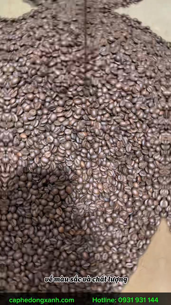 [☕️🇻🇳] Cà phê Đồng Xanh – Greenfields Coffee 🥤 Top1Coffee ☕️  , shares-0✔️ , likes-36❤️️ , date-2025-03-10 16:59:12🇻🇳🇻🇳🇻🇳📰🆕