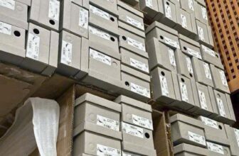 [???] Pomapan – Store vnxk – Thiết kế & Thời trang  ? Top1Fashion ?  Đến hẹn lại lên hàng đẹp + xuỵn choa các nàng
Sandal C n K collection newwwwwww
Đẹp xoang xịn, dễ mang lắm các nàng ơiiii
35 – 39
_____________________ , shares-0✔️ , likes-1❤️️ , date-2025-03-13 23:05:50????????