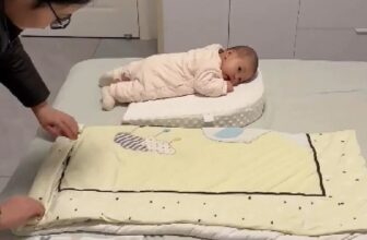 [🆕🇻🇳] Khang Home là thương hiệu hàng đầu Việt Nam chuyên sản xuất nệm và đồ dùng phòng ngủ cho trẻ sơ sinh 🧑‍🧒❤️️👶⭐️ Chia sẻ với các bố mẹ cách gấp gối ngủ tự chế cho bé nằm sấp #MeVaBe #khanghome #EmAiChoCon #goingu #goinguchobe , shares-0✔️ , likes-0❤️️ , date-2025-03-19 19:00:45🇻🇳🇻🇳🇻🇳📰🆕