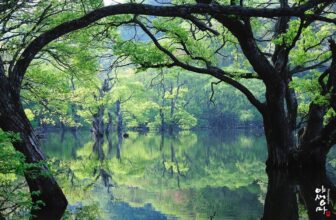 [🆕🇻🇳] Checkin và Du lịch Hàn Quốc – Korea Travel ♥️️ Top1Checkin ☑  Hồ Jusanji (주산지) – Tuyệt Tác Huyền Ảo Ở Gyeongsangbuk-do#Hồ_Jusanji (주산지) là một hồ nước nhỏ nhưng đẹp như tranh vẽ, nằm ẩn mình trong công viên quốc gi , shares-0✔️ , likes-9❤️️ , date-2025-03-12 20:58:33🇻🇳🇻🇳🇻🇳📰🆕