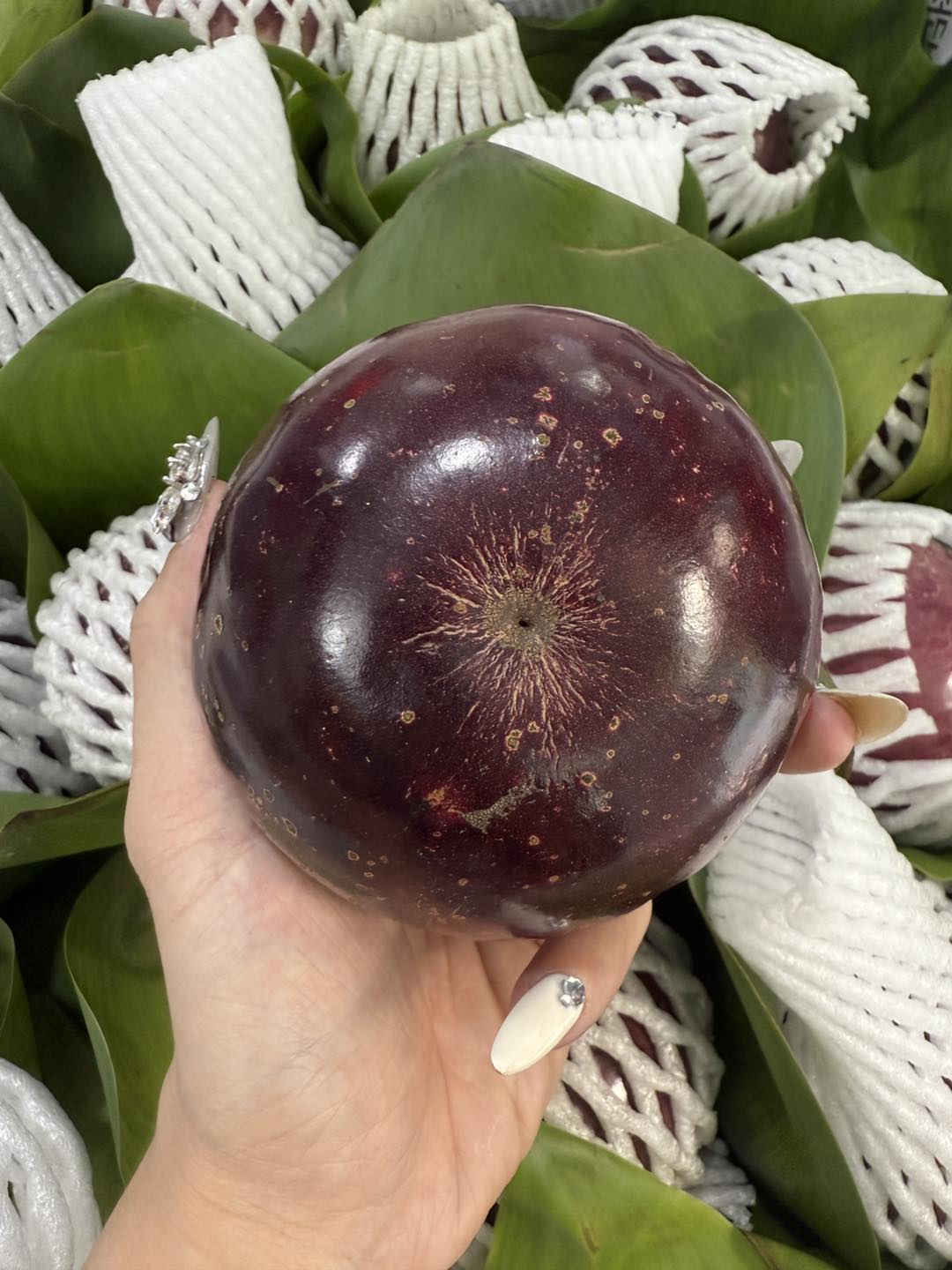 [🆕🇻🇳] SIXDO is a fashion brand founded by fashion designer DOMANHCUONG 👕 Top1Fashion 👗  𝑬𝒍𝒆𝒈𝒂𝒏𝒕 𝑩𝒆𝒂𝒖𝒕𝒚 𝒊𝒏 𝑬𝒗𝒆𝒓𝒚 𝑷𝒍𝒆𝒂𝒕“𝑇𝑖𝑚𝑒𝑙𝑒𝑠𝑠 𝑒𝑙𝑒𝑔𝑎𝑛𝑐𝑒, 𝑝𝑎𝑖𝑛𝑡𝑒𝑑 𝑤𝑖𝑡ℎ 𝑝𝑙𝑒𝑎𝑡𝑠 𝑎𝑛𝑑 𝑝𝑒𝑡𝑎𝑙𝑠.”Tôn vinh sự tinh tế của kỹ thuật dập ly tỉ mỉ cùng thiết kế đầm bút ch , shares-1✔️ , likes-18❤️️ , date-2025-03-15 18:20:51🇻🇳🇻🇳🇻🇳📰🆕