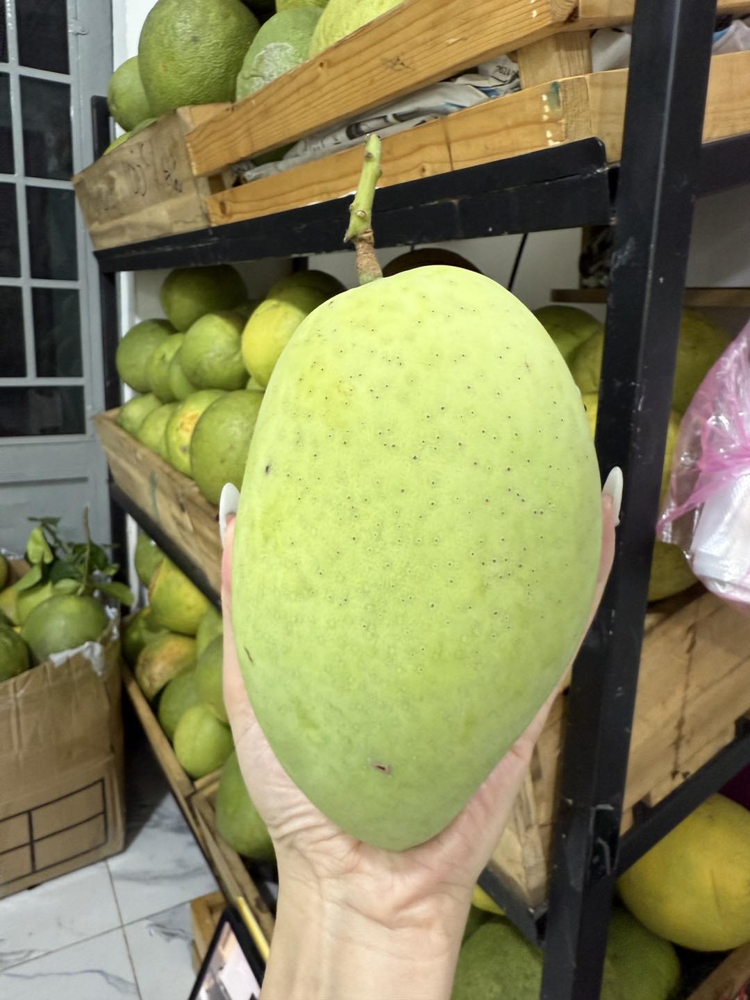 [🆕🇻🇳] Min Kids – Thời Trang Trẻ em 🧑‍🧒❤️️👶⭐️  , shares-0✔️ , likes-0❤️️ , date-2025-03-12 01:42:14🇻🇳🇻🇳🇻🇳📰🆕