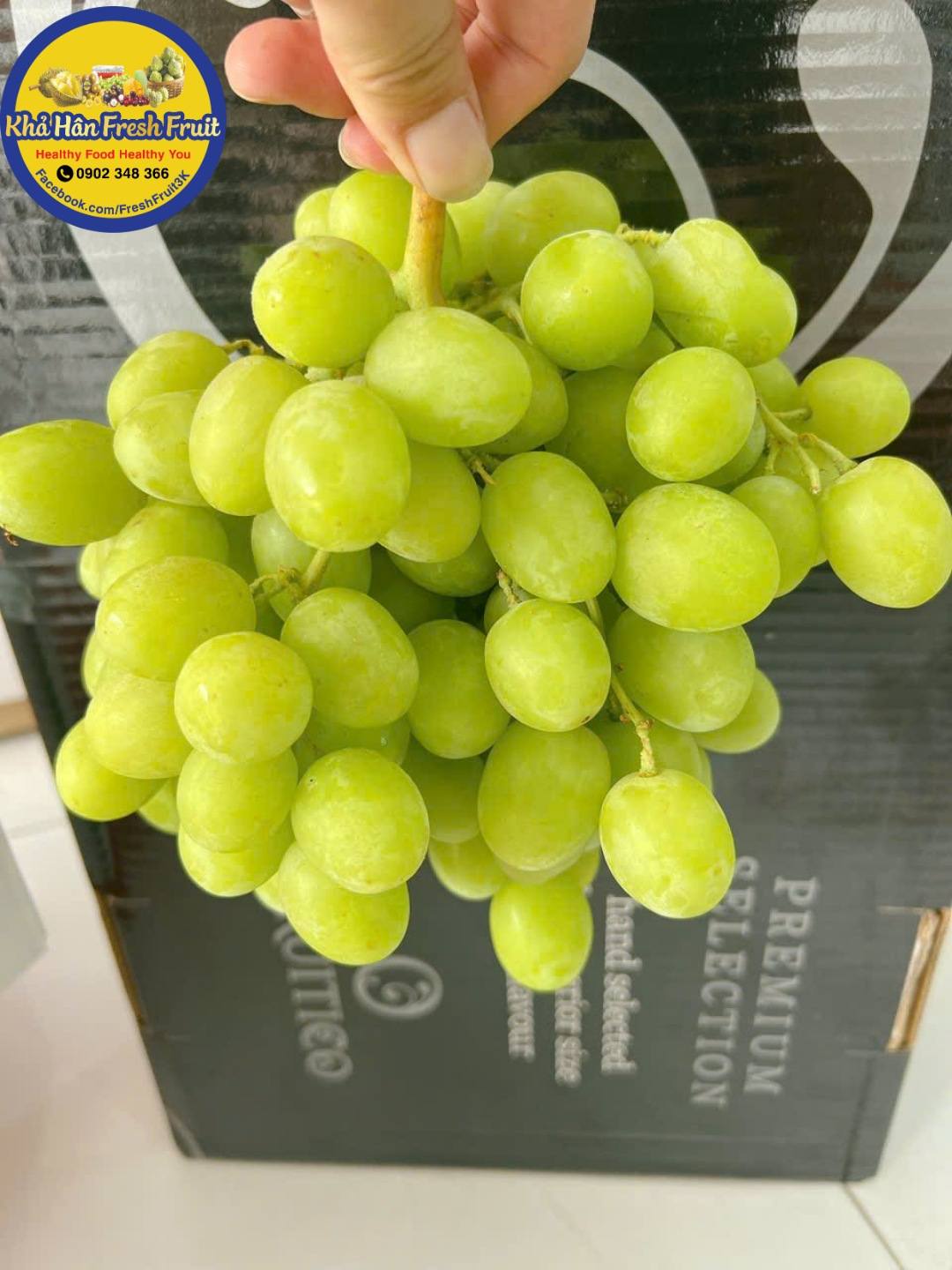 [🆕🇻🇳] Khả Hân Fresh Fruit – Sầu Riêng 6 Hữu 🍔 Top1Food  🍜 nho xanh Úc Frutico mới về ngon ngất ngây 
nho cuống xanh tươi , giòn tan , ngọt đậm cực kì xuất sắc 

Shoppe Food 
Grap Mart
Grap Food 
Baemin 
———- , shares-0✔️ , likes-1❤️️ , date-2025-03-15 18:12:38🇻🇳🇻🇳🇻🇳📰🆕