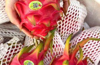 [🆕🇻🇳] Nhà AnAn – chuyên cung cấp rau củ quả hữu cơ, sạch, rõ nguồn gốc từ Đà Lạt 🍔 Top1Food  🍜 Mai có ít thanh long đỏ HC Huka, rất ngọt!
Mời khách ạ, 85k/kg
, shares-0✔️ , likes-2❤️️ , date-2025-03-14 03:52:39🇻🇳🇻🇳🇻🇳📰🆕