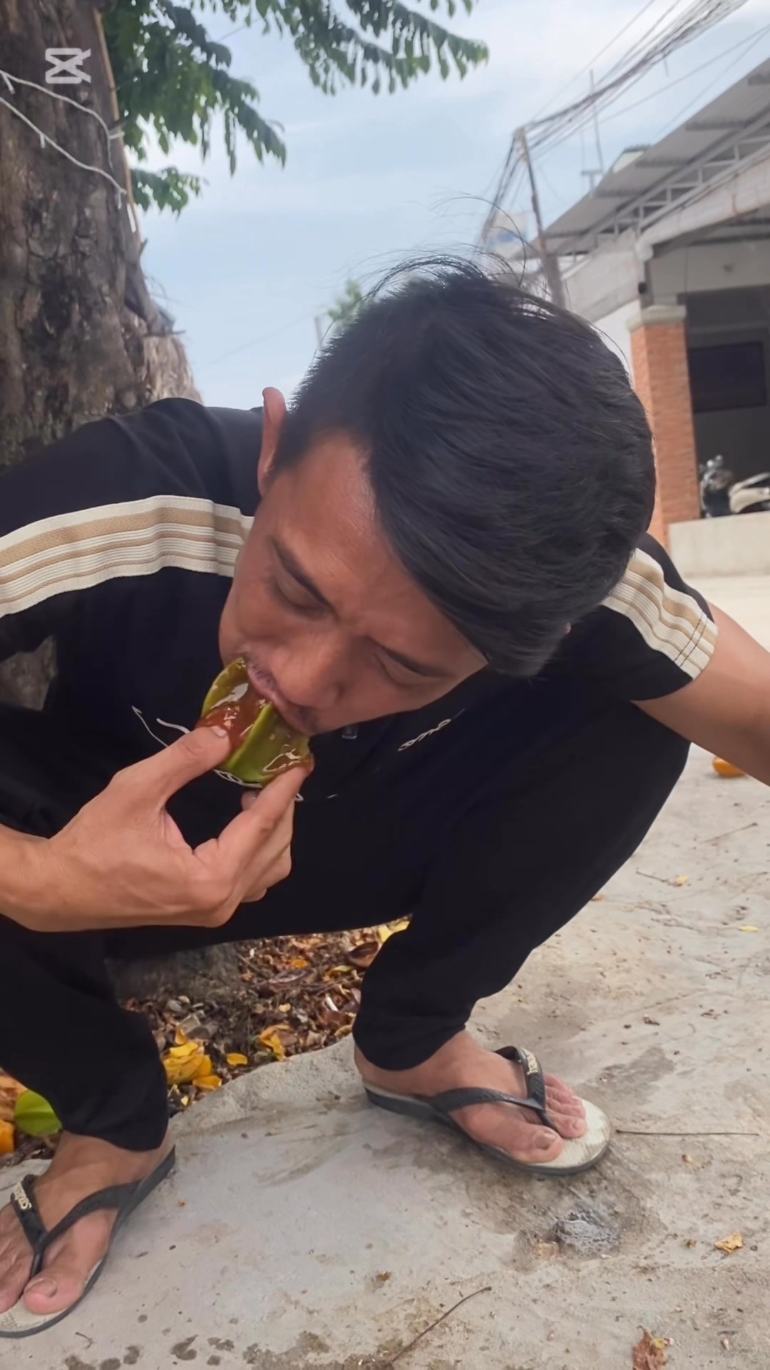 [🆕🇻🇳] Tiệm Sun – Quần áo đẹp cho bé – Bí mật của những em bé TỰ TIN – THẦN THÁI và HẠNH PHÚC � 🧑‍🧒❤️️👶⭐️ Trắng sứ như thiên thần  Xinh và mềm mát, do set body được lên từ vải COTTON VISCO – loại cotton trắng dẻo hàng xuất trong các nhà máy nên chất đanh mịn, c , shares-0✔️ , likes-2❤️️ , date-2025-03-14 03:25:42🇻🇳🇻🇳🇻🇳📰🆕