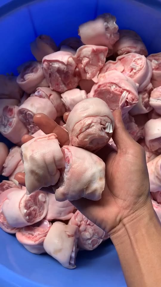 [???] Ed Yoga & Dance ? Top1Yoga ??‍♀️  , shares-0✔️ , likes-10❤️️ , date-2025-03-12 02:47:56????????