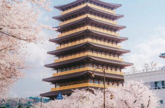 [🆕🇻🇳] Checkin và Du lịch Hàn Quốc – Korea Travel ♥️️ Top1Checkin ☑   Mùa hoa anh đào 2025 tại Gyeongju | Trải nghiệm ngắm hoa tại Hoàng Long Viện
Nét đẹp lịch sử hòa cùng sắc hoa anh đào lãng mạn, địa điểm ngắm hoa “bí ẩn” , shares-0✔️ , likes-8❤️️ , date-2025-03-13 22:00:08🇻🇳🇻🇳🇻🇳📰🆕