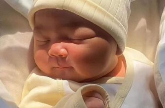 [🆕🇻🇳] Hi, embe –  Cửa hàng quần áo sơ sinh & trẻ em – Say “Hi” & Be a happy child with us :) 🧑‍🧒❤️️👶⭐️  , shares-0✔️ , likes-0❤️️ , date-🇻🇳🇻🇳🇻🇳📰🆕