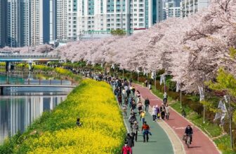 [🆕🇻🇳] Checkin và Du lịch Hàn Quốc – Korea Travel ♥️️ Top1Checkin ☑   Mùa xuân ở Busan thật khác biệt—cánh hoa hồng rực, quán cà phê ấm cúng và vô vàn nét quyến rũ!Dạo bước bên suối Oncheoncheon, nơi hoa anh đào nở rộ ph , shares-0✔️ , likes-5❤️️ , date-2025-03-16 22:30:05🇻🇳🇻🇳🇻🇳📰🆕