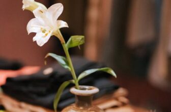 [🆕🇻🇳] Chuu Hoian – Thiết kế & Thời trang 👕 Top1Fashion 👗  Chào buổi sáng
, shares-0✔️ , likes-3❤️️ , date-2025-03-11 16:07:55🇻🇳🇻🇳🇻🇳📰🆕