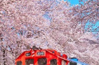 [🆕🇻🇳] Checkin và Du lịch Hàn Quốc – Korea Travel ♥️️ Top1Checkin ☑   Mùa xuân ở Jeju – Lý do để xách vali ngay!Jeju chính là thiên đường mùa xuân với hoa anh đào nở sớm nhất Hàn Quốc!  Từ cuối tháng 3 đến đầu tháng 4, cả , shares-0✔️ , likes-6❤️️ , date-2025-03-18 23:00:08🇻🇳🇻🇳🇻🇳📰🆕