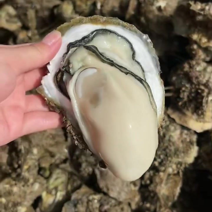 [🆕🇻🇳] Ốc 379 – Quán ăn hải sản gia đình 🍔 Top1Food  🍜  “𝐆𝐇𝐄́ 𝐐𝐔𝐀́𝐍 𝐓𝐀̣̆𝐍𝐆 𝟏𝐊𝐆 𝐇𝐀̀𝐔 𝐓𝐎”
Chế biến miến phí, Ốc ngon chất lượng ko lo về giá

 Đặt bàn càng đông tặng càng nhiều gọi ngay : 0933179139 để nhận ưu đã , shares-0✔️ , likes-0❤️️ , date-2025-03-13 17:56:53🇻🇳🇻🇳🇻🇳📰🆕