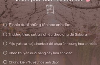 [🆕🇻🇳] Traveloka Vietnam – Nền tảng du lịch hàng đầu Đông Nam Á ♥️️ Top1Checkin ☑   Nếu bạn là tín đồ hoa anh đào, thì bucket list này là dành cho bạn!Đón mùa hoa anh đào với ưu đãi bay lên đến 1 TRIỆU: trv.lk/Bay-Sakura
————- , shares-0✔️ , likes-9❤️️ , date-2025-03-18 03:00:23🇻🇳🇻🇳🇻🇳📰🆕