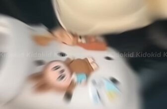 [🆕🇻🇳]  Kido Kid – Chuyên bán quần áo, giầy dép, mũ, khăn, phụ kiện trẻ em chính hãng 🧑‍🧒❤️️👶⭐️  , shares-0✔️ , likes-4❤️️ , date-2025-03-11 04:38:45🇻🇳🇻🇳🇻🇳📰🆕