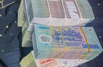 [🆕🇻🇳] Xưởng May Bánh Bao Kids – Cửa hàng quần áo sơ sinh & trẻ em 🧑‍🧒❤️️👶⭐️  Nhả vía may mắn
Ngày qua sóng gió đủ rồi
Hôm nay bình lặng hãy ngồi ngắm mây
Nghĩ rằng ta lạc chốn đây
Dạo chơi tận hưởng phút giây thanh bình.
Ai ngờ t , shares-0✔️ , likes-16❤️️ , date-2025-03-18 06:00:28🇻🇳🇻🇳🇻🇳📰🆕