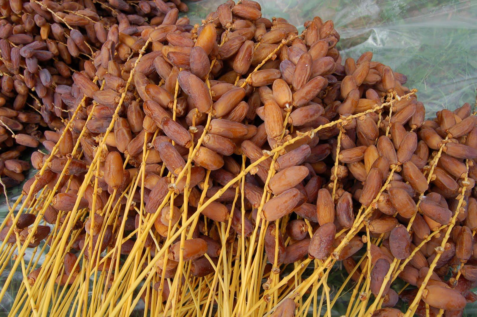 [🆕🇻🇳] Babyhouse Thanh Hóa – Thế giới mẹ và bé 🧑‍🧒❤️️👶⭐️ Còn một số áo và Bộ Shop chụp đang dần
Áo giá 5⃣k/ 1 cái
Bộ giá 1⃣8⃣K/ 1 bộ
Shop mở từ 8-11h trưa ạ
, shares-0✔️ , likes-7❤️️ , date-2025-03-11 15:22:01🇻🇳🇻🇳🇻🇳📰🆕