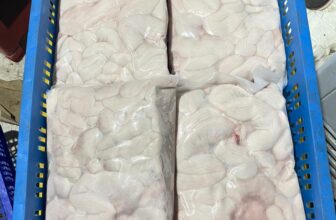 [🆕🇻🇳] Ngọc Điểm Food-chuyên cung cấp các loại thực phẩm: thịt heo, thịt bò, thịt gà, cá, tôm 🍔 Top1Food  🍜 Dồi trường có cuống trắng đẹp
, shares-0✔️ , likes-0❤️️ , date-2025-03-18 13:16:07🇻🇳🇻🇳🇻🇳📰🆕