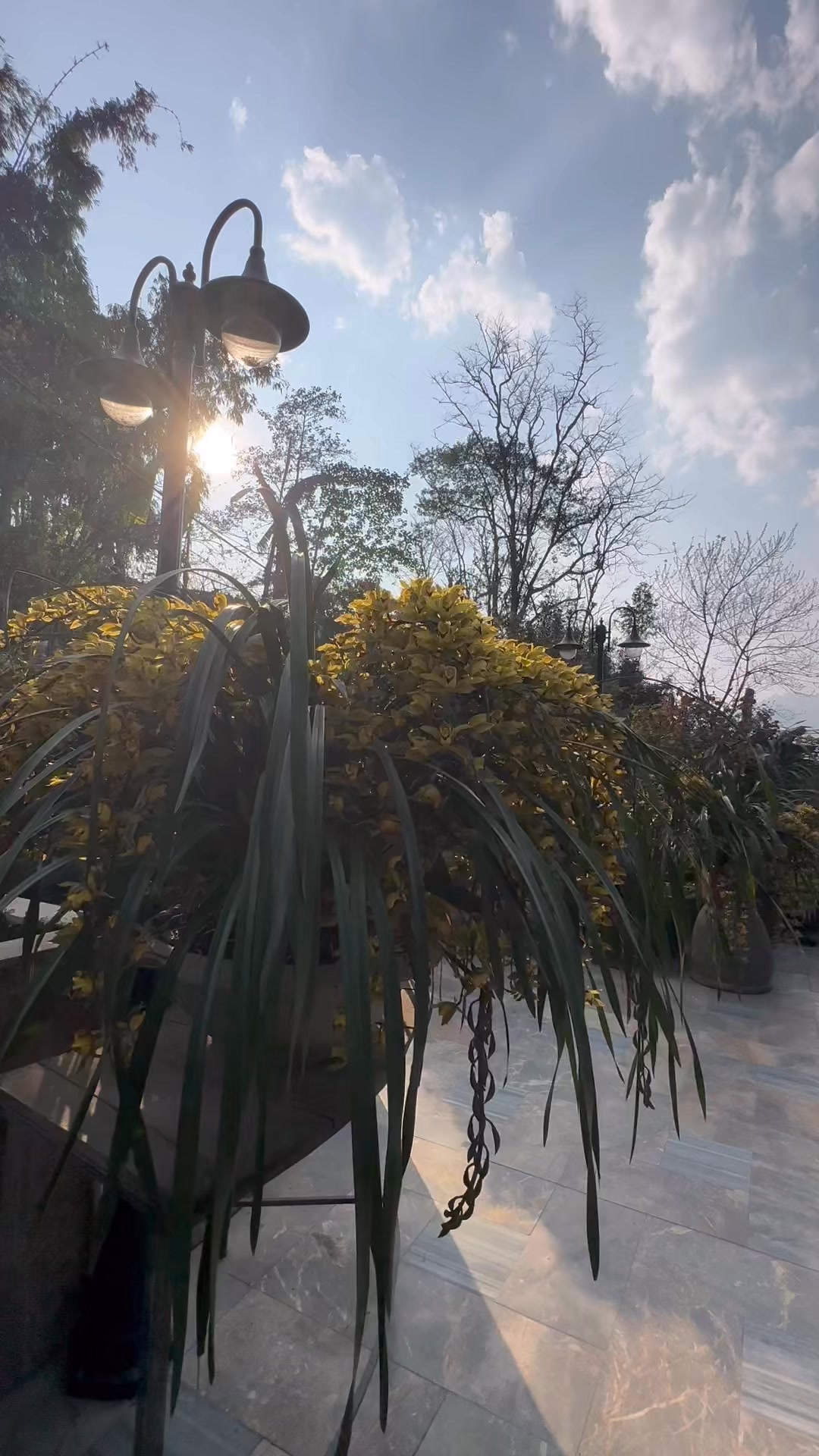 [☕️🇻🇳] La Dao Spa – Coffee House, homestay 🥤 Top1Coffee ☕️ Sa Pa dù có âm độ nhưng đến với Lá Dao Spa bản Tả Van ngâm lá thuốc Dao đỏ thì lúc nào cũng ấm áp ạ Nước thuốc nóng hổi , trà mờ , shares-0✔️ , likes-0❤️️ , date-2025-03-15 17:55:54🇻🇳🇻🇳🇻🇳📰🆕