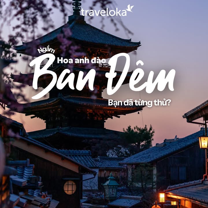 [✈🇻🇳] Traveloka Vietnam – Sống Trải Nghiệm ✈ Top1Travel 🌏 – Ngắm hoa anh đào ban đêm? Xịn hơn bạn nghĩ đó 🌸🌙✈️ Bay tới Hàn-Nhậ …
