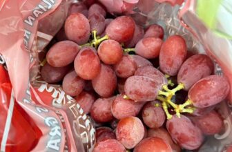 [🆕🇻🇳] Trái Cây Nhập Khẩu Đường Bay – Cửa hàng rau quả 🍔 Top1Food  🍜 Nho đỏ Úc ngọt lịm – rất tươi ngon nha cả nhà #140k/kgThùng 9kg 1050k
…Đây là vị bên em ăn thử và miêu tả. Khuyến khích khách hàng đến shop để dùng t , shares-0✔️ , likes-1❤️️ , date-2025-03-13 15:01:56🇻🇳🇻🇳🇻🇳📰🆕