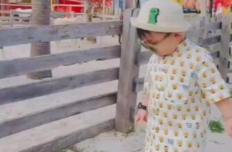 [🆕🇻🇳]  RainBow Design – Thế giới sơ mi cho các hoàng tử nhỏ <3 😎❤️️⭐️ Here we go …  , shares-0✔️ , likes-0❤️️ , date-2025-03-17 21:37:50🇻🇳🇻🇳🇻🇳📰🆕