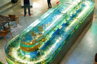 [🆕🇻🇳] Sông – Seafood & Grill – điểm hẹn lý tưởng dành cho bạn và những người thân yêu! 🍔 Top1Food  🍜 Tại Sông – Seafood & Grill , khu vực bể hải sản tươi sống luôn là điểm dừng chân yêu thích của thực khách sành ăn. Nơi đây, từng loại hải sản cao cấp đều đ , shares-4✔️ , likes-88❤️️ , date-2025-03-14 22:46:22🇻🇳🇻🇳🇻🇳📰🆕