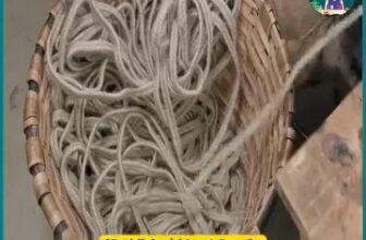 [???] Rô Store giày-vnxk – Chuyên giày dép VNXK  ? Top1Fashion ?  Nhìn đơn giản mà cầu kì , shares-0✔️ , likes-4❤️️ , date-2025-03-16 10:05:09????????