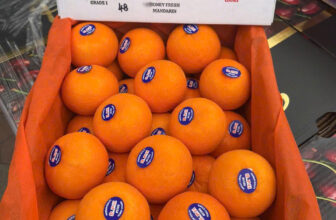 [🆕🇻🇳] F5 Fruit Shop Hồ Chí Minh-hệ thống bán lẻ Trái cây Nhập khẩu cao cấp 🍔 Top1Food  🍜  𝐐𝐔𝐘́𝐓 𝟐𝐏𝐇 𝐓𝐇𝐎̛𝐌 𝐍𝐆𝐎𝐍 𝐌𝐎̣𝐍𝐆 𝐍𝐔̛𝐎̛́𝐂 𝐕𝐄̂̀ 𝐇𝐀̀𝐍𝐆
80K/KG 𝟕𝟎.𝟎𝟎𝟎/𝐊𝐆𝐐𝐮𝐲́𝐭 𝟐𝐏𝐇 𝐂𝐢𝐭𝐫𝐮𝐬 𝐍𝐨̣̂𝐢 Đ𝐢̣𝐚 𝐓𝐫𝐮𝐧𝐠 là loại quýt vỏ mỏng, bóng, màu cam rực rỡ, đặc biệt m , shares-1✔️ , likes-1❤️️ , date-2025-03-19 23:30:04🇻🇳🇻🇳🇻🇳📰🆕