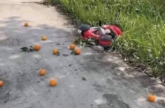 [🆕🇻🇳] Shop Bố Soup – Nơi mua sắm lý tưởng cho mẹ và bé 🧑‍🧒❤️️👶⭐️ Không mũ bảo hiểm,  không bằng lái, không đăng ký xe, không bảo hiểm xe, nồng độ sữa trong hơi thở cao …
Kịch Khung…
st
, shares-1✔️ , likes-3❤️️ , date-2025-03-19 16:00:50🇻🇳🇻🇳🇻🇳📰🆕