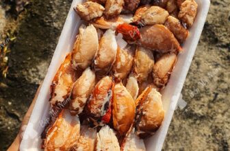 [🆕🇻🇳] Bếp Má 5 Online – Thực phẩm & Đồ uống 🍔 Top1Food  🍜  HÔM NAY CÓ THỊT CUA ĐẠI – NGỌT NHƯ MỐI TÌNH ĐẦU!
Nay Bếp Má Năm có thịt cua đại – thớ thịt to, chắc, ngọt đậm vị biển, ăn một miếng là đắm say!  Chưa qua , shares-0✔️ , likes-4❤️️ , date-2025-03-17 18:08:07🇻🇳🇻🇳🇻🇳📰🆕