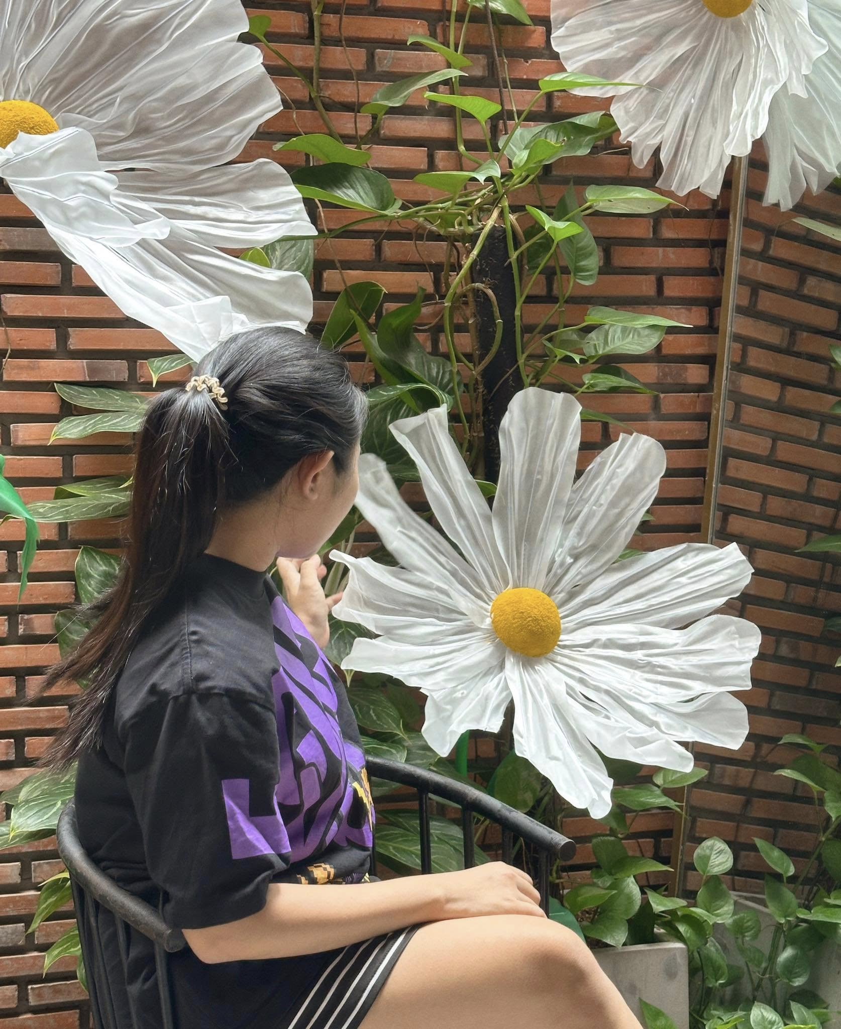 [☕️🇻🇳] Hemo Coffee – Bến Tre 🥤 Top1Coffee ☕️ Hương Họa Mi không nồng nàn như Ly, không ngào ngạt như Hồng, nhưng lỡ thương một lần sẽ vấn vương cả đời,Hemo, cũng có hoạ m , shares-0✔️ , likes-16❤️️ , date-2025-03-19 22:26:32🇻🇳🇻🇳🇻🇳📰🆕