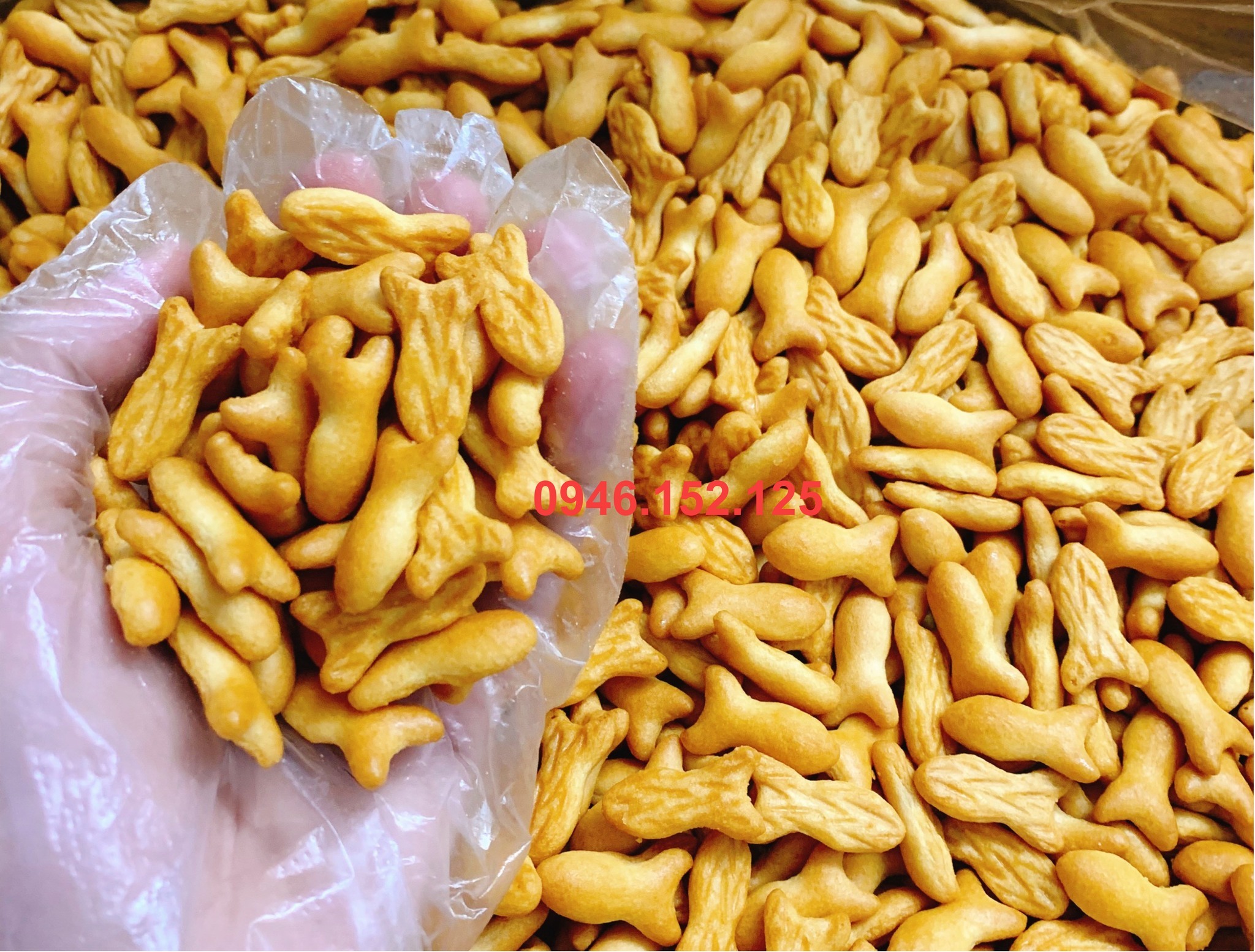 [🆕🇻🇳]  ToTo Kids – Chuyên Cung Cấp Sỉ Lẻ Thời Trang Trẻ Em Đa Dạng Mẫu Mã Kiểu Dáng,Hottrend 🧑‍🧒❤️️👶⭐️  Hot quá trời hot òyyyy các chế ơiiiiiSÉT BỘ KO BAO GIỜ MỜ NHẠT .
Gam màu ưa chuộng . Kiểu dáng xinh xĩuưu  hết nấc form vừa phảiii lắmmBảng size 8- , shares-0✔️ , likes-0❤️️ , date-2025-03-19 15:57:16🇻🇳🇻🇳🇻🇳📰🆕