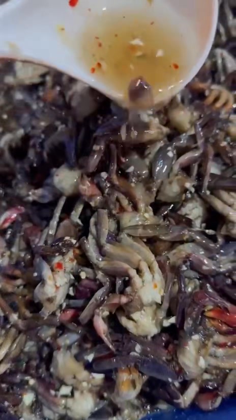 [🆕🇻🇳] Đặc sản châu đốc NGỌC TRÂN 🍔 Top1Food 🍜  , shares-0✔️ , likes-1❤️️ , date-2025-03-15 19:22:42🇻🇳🇻🇳🇻🇳📰🆕