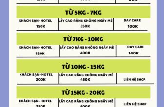 [🆕🇻🇳] Su PetShop – Đào Tạo Học Viên Cắt Tỉa Thú Cưng 🐶🦜 Top1Pets 🐱🐠 Khách Sạn Cho Chó Mèo chỉ từ 100k / ngày – không phụ thu thêm bất kì chi phí nào kể cả Lễ TếtDịch vụ Pethotel như ở nhà :
Được kiểm tra sức khỏe mỗi ngà , shares-0✔️ , likes-7❤️️ , date-2024-12-10 19:33:58🐶🐱🇻🇳🇻🇳🇻🇳📰🆕