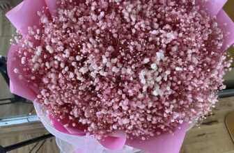 [🆕🇻🇳] Ruby Yoga Và Dance 🧘 Top1Yoga 🤸🏻‍♀️ Hoa xinh cám ơn người tặng thật nhiều Thuy Bui
, shares-0✔️ , likes-36❤️️ , date-2025-03-18 22:06:19🇻🇳🇻🇳🇻🇳📰🆕