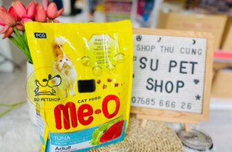 [🆕🇻🇳] Su PetShop – Đào Tạo Học Viên Cắt Tỉa Thú Cưng 🐶🦜 Top1Pets 🐱🐠 Hạt dinh dưỡng cho mèo Me-o
Taurine: Là Acid Amino cần thiết cho chức năng của mắt và cải thiện thị giác của mèo.
Vitamin C: Tăng cường hệ thống miễn d , shares-0✔️ , likes-0❤️️ , date-2025-02-18 15:00:05🐶🐱🇻🇳🇻🇳🇻🇳📰🆕