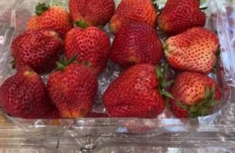 [🆕🇻🇳] Trái Cây Nhập Khẩu Tuy Hoà-Phú An Food 🍔 Top1Food  🍜 Siêu phẩm hôm nay ạ , shares-0✔️ , likes-0❤️️ , date-2025-03-16 16:02:51🇻🇳🇻🇳🇻🇳📰🆕