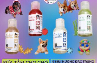 [🆕🇻🇳] BULL BÉO Petshop  🐶🦜 Top1Pets 🐱🐠  Sữa Tắm Dưỡng Lông Cho Chó YOKO 4 Mùi Hương Thơm Tự Nhiên 55ML –  Hàng Chính Hãng
Dung tích: 55ml
Xuất xứ: Việt Nam
Sản phẩm dùng được cho tất cả các  , shares-0✔️ , likes-1❤️️ , date-2024-04-18 13:52:07🐶🐱🇻🇳🇻🇳🇻🇳📰🆕